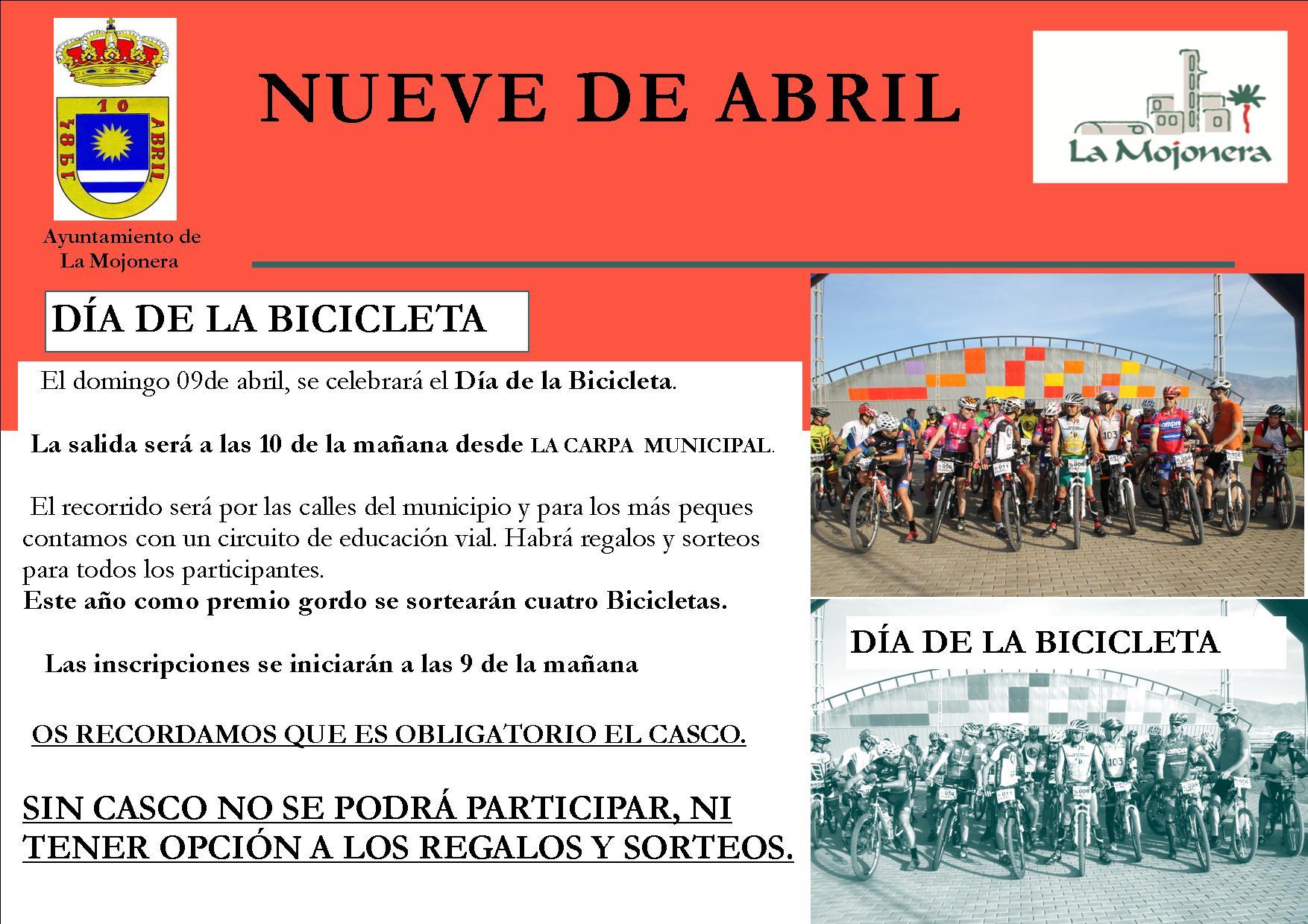 Noticia1362