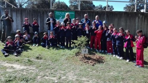 Repoblación día internacional de los bosques 2019