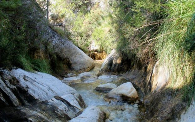 RIO-HIGUERON-01-770×480